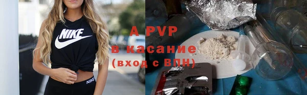 хмурый Касимов