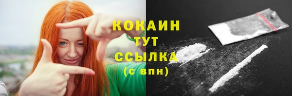прущие грибы Бежецк