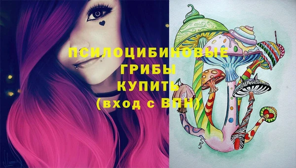 прущий лед Инсар