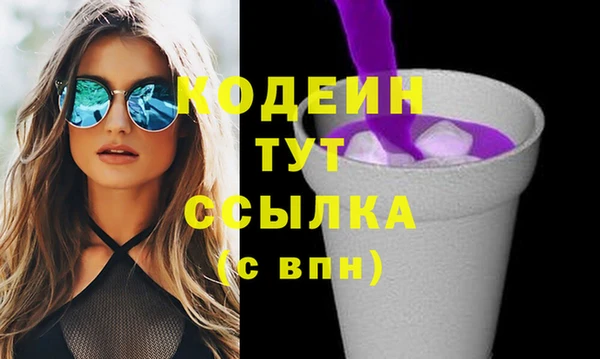 прущий лед Инсар