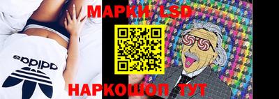 прущие грибы Кандалакша