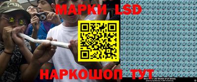 прущие грибы Кандалакша
