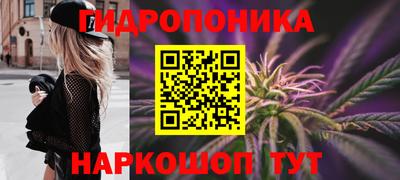 дурь Камышлов