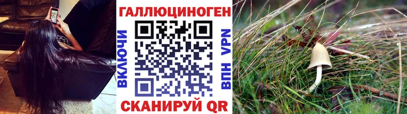Галлюциногенные грибы прущие грибы  продажа наркотиков  Корсаков 