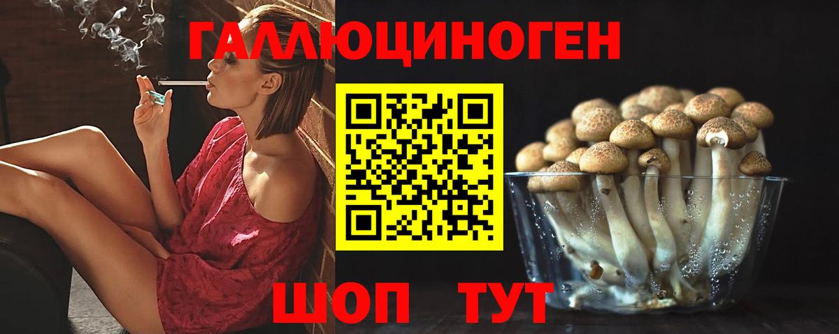 Псилоцибиновые грибы Psilocybine cubensis  Псилоцибиновые грибы Magic Shrooms  Корсаков  Вход с VPN 