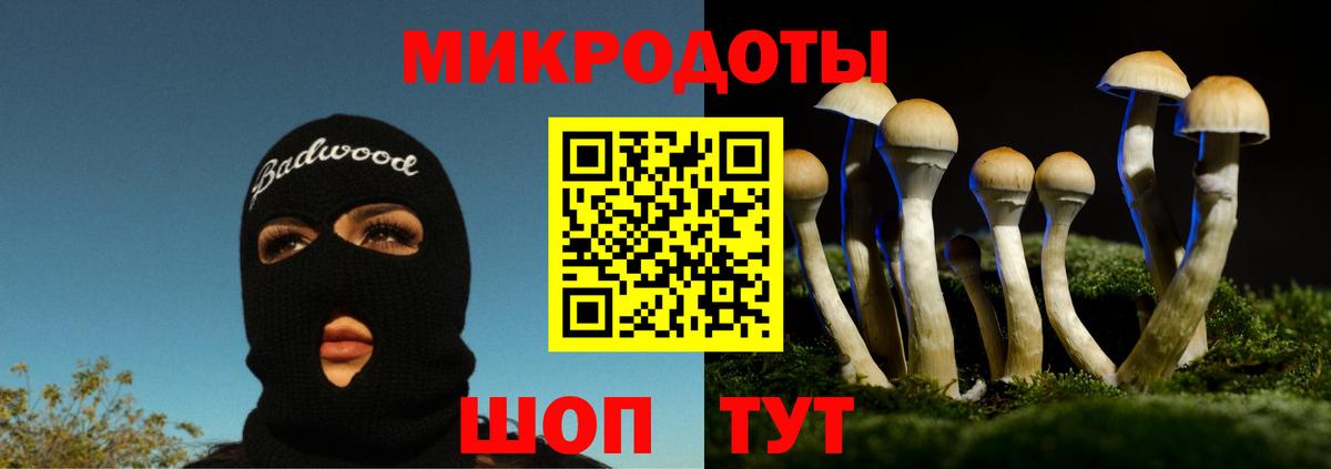 Псилоцибиновые грибы GOLDEN TEACHER Корсаков